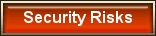 Top Ten Security Risks